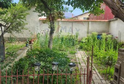 Casă individuala cu vedere catre muntii Postavaru de inchiriat - 16