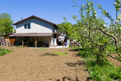 Casă P+1 cu teren de 1.769 mp, aproape de Titu – Săvești, Braniștea, Dâmbovița - 8
