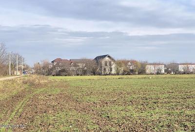 Afumati - Str. Iasomiei, 2409 MP, stradal, intravilan, deschidere 12 m - 15