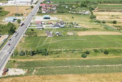 Teren cu potențial de dezvoltare –7427 mp în Argeșelu, Mărăcineni, județul Arges - 7