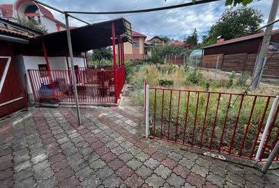 Casa individuala zona excelenta, Dambu Rotund, 307 mp curte - 14
