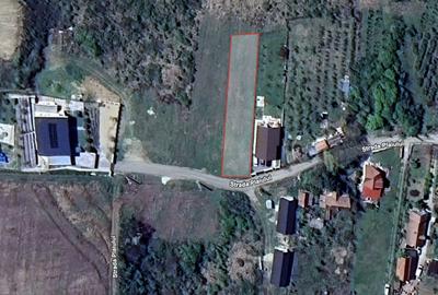 Teren Construcții intravilan de 1000 mp, în Dealuri Oradea