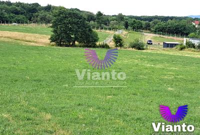 Oportunitate-Teren Extravilan 6200 mp cu vedere Panoramica-Tropinii Noi-Rasinari - 1