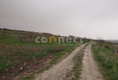 Teren intravilan 1,870mp | Cluj-Napoca, strada Silvaniei - 6