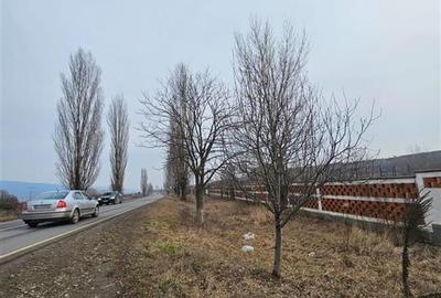 Teren Construcții intravilan de 57662 mp, în Popeni