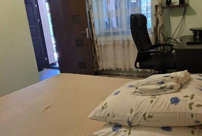 450euro/luna, Valea Lupului Antibiotice, corp casa cu 3 camere - 7