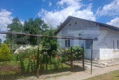 Casă individuală cu 5 camere în Crângurile