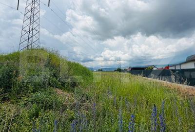 Teren Construcții intravilan de 713 mp, în Mihai Viteazu