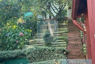 Casa singur în curte, 1000 mp teren - zona Tarlungeni - 8