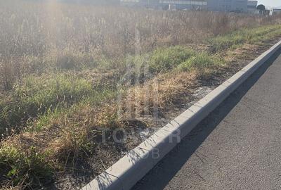 TEREN INTRAVILAN - ZONA INDUSTRIALA VEST-9000 mp, sau 18000 mp - 7