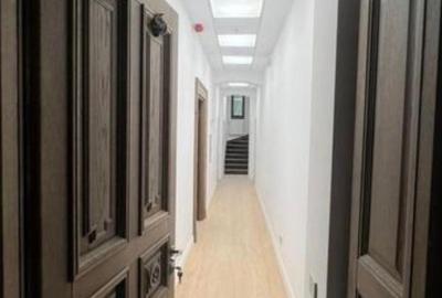 Vila renovata integral Gradina Icoanei - 23