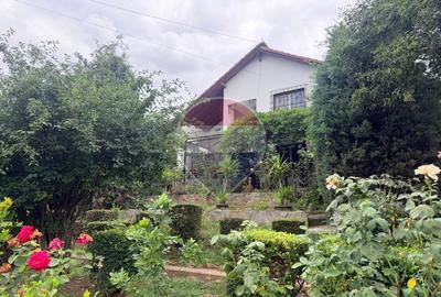 Leamna de sus, casa cu piscina, 2000mp - 1