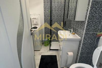 Inchirieri Apartamente 2 Camere Dorobanti - 13