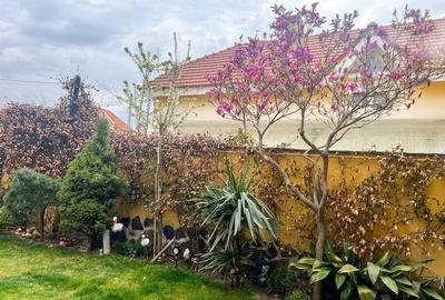 RECO Vila P+M 3 camere in Nufarul - 17