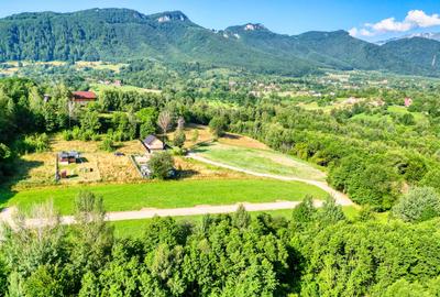 Teren intravilan zona Bran-Tohanita,langa padure intre 500 si 1000 m - 11