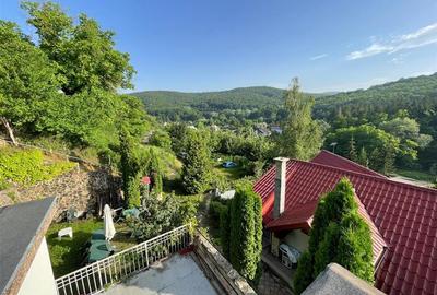 310 mp-Vila, P+M si P+1E, Valea Budului, Bacau - 4