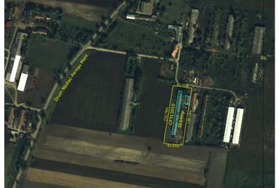 Hală/Grajd + teren mare + Casă modernă - Proprietate mixtă de vânzare în Nădlac - 5