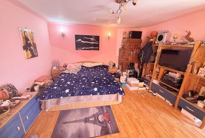 Casa interbelică cu arhitectură deosebită+Anexa și teren 1570 mp - 17