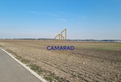 TEREN INTRAVILAN 3.870 MP – BUFTEA | ZONA TAMASI | FRONT STRADAL 32 ML - 1