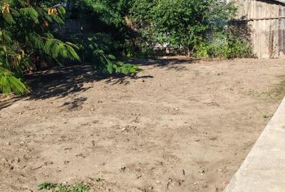 CUMPANA CASA LA ALB  4 CAMERE  TEREN 575 MP PRET 165.000 EURO - 7