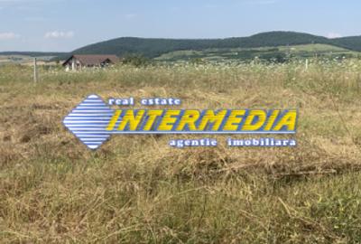 Teren intravilan de vanzare in Alba Iulia in suprafata de 500 mp - 2