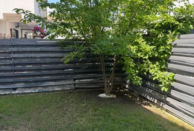 Casa 4 Camere I TUNARI I Langa Padure I 50 mp Gradina - 23