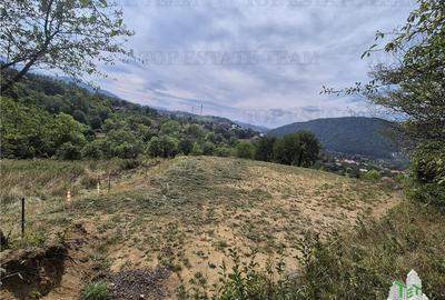Teren intravilan pentru investitie turistica, 4000 mp, langa Club Vila Bran cu p - 4