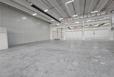 Spatiu Comercial - 900 mp - Showroom - Depozitare - 11