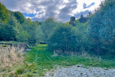 Teren intravilan 2.000 mp în Codlea, zonă verde | 9 min de E68 | 24 €/mp - 4