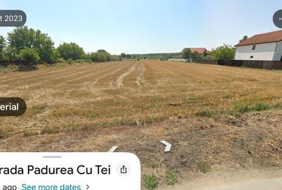 Teren Construcții intravilan de 9200 mp, în Gulia