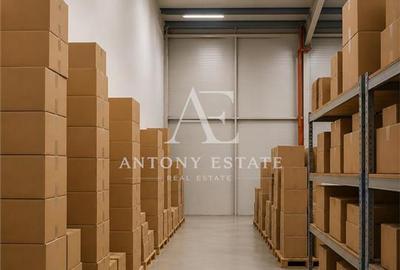 Spatiu Comercial de inchiriat, Showroom, Oradea - 10