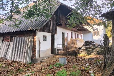 Casă și anexă gospodărească - Teren 2.700 mp - Coșești, Argeș - 5