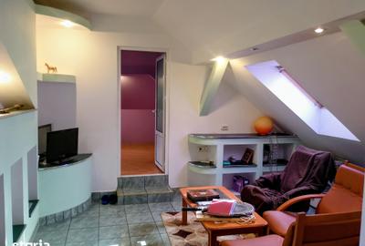 CI658 Sagului,casa-vila individuala P+M,Timisoara - 12