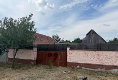 Casă de vânzare – Sântana - 17