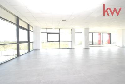 Hale moderne si spatii de birouri de inchiriat, zona aeroportului Craiova - 14