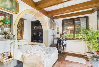Apartament cu terasă într-o vilă interbelică B-dul Primaverii - 10