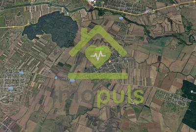 🗺️ Teren intravilan 20.200 mp – Bucovăț ✨ - 3