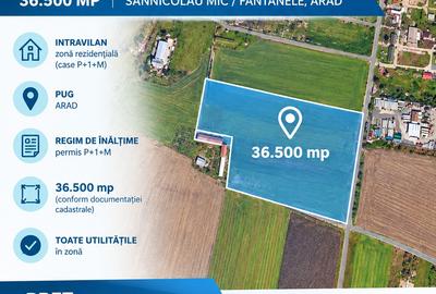 Teren Construcții intravilan de 36500 mp, în Sânnicolau Mic