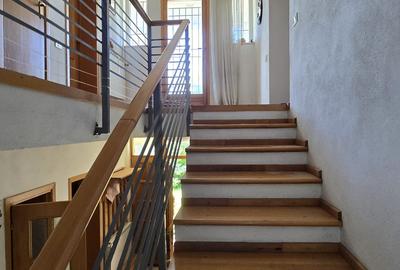 Vanzare vila P+1+M cu 5 camere, casa batraneasca , 2 garaje, teren 9249mp, - 11