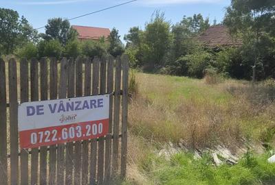 Vand doua loturi teren intravialn, Mosoaia, Hintesti, in suprafata de 800 , 1600 - 10