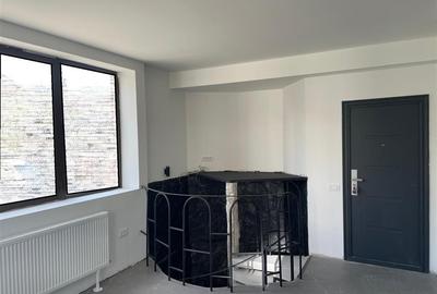 Spatiu comercial in Hasdeu, zona str Piezisa - 4