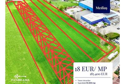 Teren intravilan de 10300 mp de vânzare Mediaș - 2
