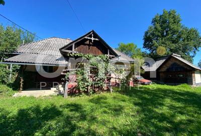 Casa de vanzare in Berinta de 50 mp cu anexa si 22 de ari teren - 1