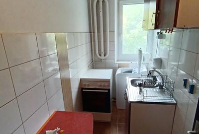 Apartament 2 camere– Ultracentral, langa Mama Mia, etaj intermediar - 22
