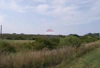 Teren extravilan de vânzare 1400mp  | Partoș - 3