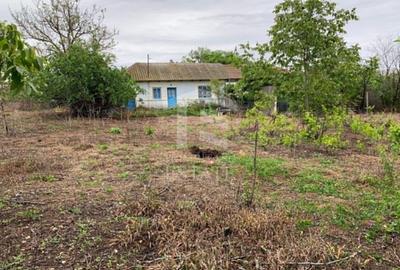 Teren intravilan 2562mp Loc 23 August | Ideal locuiță sau casă vacanță - 7