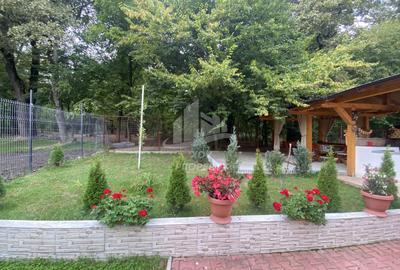 Vila  Frumoasa , individuala ,Sibiu ,7 camere , 5 Bai , mobilata ,utilata - 26