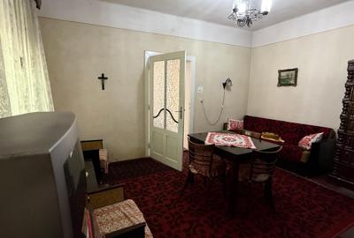 CASĂ + 15 ARI TEREN, APROAPE DE CENTRU – CAREI - 7
