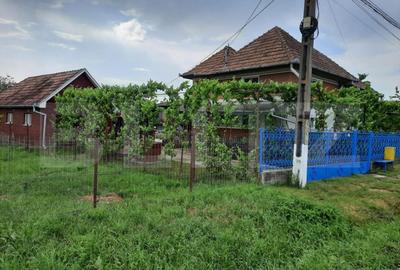 Casă individuală cu 2 camere în Bogata