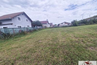Teren de vanzare in Vintu de Jos - 2